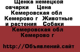 Щенка немецкой овчарки. › Цена ­ 5 000 - Кемеровская обл., Кемерово г. Животные и растения » Собаки   . Кемеровская обл.,Кемерово г.